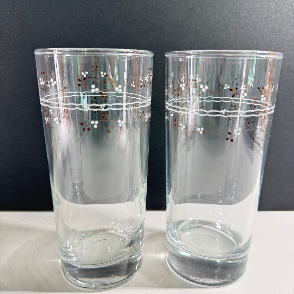2 Vintage Floral Berry Highball Juice Glasses Set Clear Botanical Tumblers 6.25"